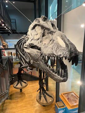 福井県立恐竜博物館に投稿された画像（2023/9/8）