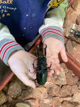 JOYPOLIS 特別イベントスペースに投稿された画像（2023/9/8）