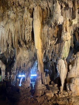石垣島鍾乳洞に投稿された画像（2023/9/8）