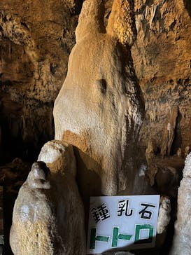 石垣島鍾乳洞に投稿された画像（2023/9/8）