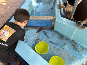 NESTA RESORT KOBE（ネスタリゾート神戸）に投稿された画像（2023/9/8）