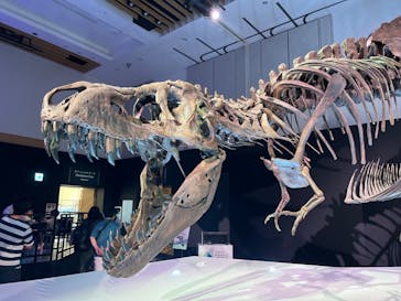 DinoScience 恐竜科学博 2023@TOKYO MIDTOWNに投稿された画像（2023/9/8）