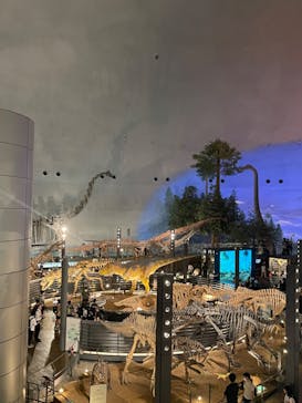 福井県立恐竜博物館に投稿された画像（2023/9/8）