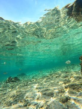 沖縄マリンサービス碧に投稿された画像（2023/9/8）