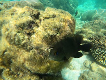 沖縄マリンサービス碧に投稿された画像（2023/9/9）