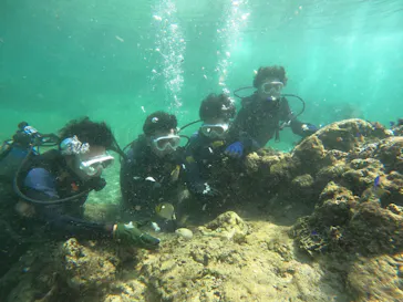 武藤潜水に投稿された画像（2023/9/9）