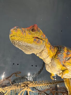 福井県立恐竜博物館に投稿された画像（2023/9/9）