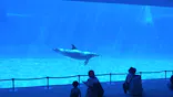 名古屋港水族館に投稿された画像（2023/9/9）