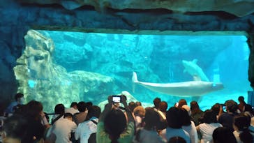 名古屋港水族館に投稿された画像（2023/9/9）