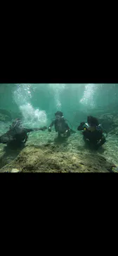 武藤潜水に投稿された画像（2023/9/9）