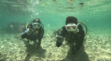 沖縄マリンサービス碧に投稿された画像（2023/9/9）