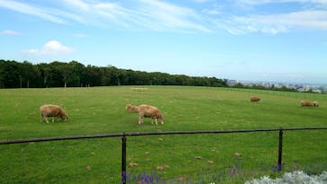 さっぽろ羊ヶ丘展望台に投稿された画像（2023/9/9）