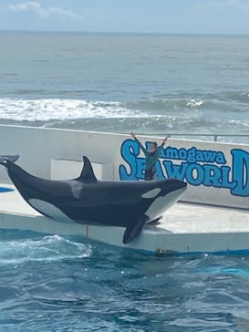 鴨川シーワールドに投稿された画像（2023/9/9）