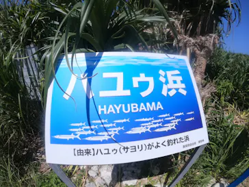 武藤潜水に投稿された画像（2023/9/9）