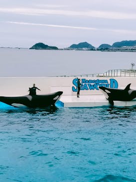 鴨川シーワールドに投稿された画像（2023/9/9）