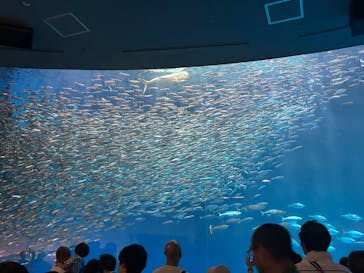 名古屋港水族館に投稿された画像（2023/9/9）