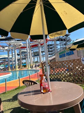 芝政ワールドに投稿された画像（2023/9/9）