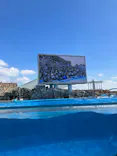 名古屋港水族館に投稿された画像（2023/9/9）