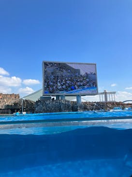 名古屋港水族館に投稿された画像（2023/9/9）