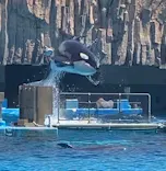 名古屋港水族館に投稿された画像（2023/9/9）