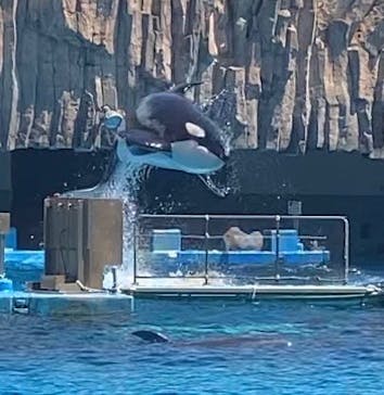 名古屋港水族館に投稿された画像（2023/9/9）