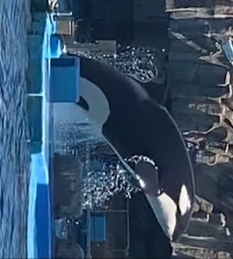 名古屋港水族館に投稿された画像（2023/9/9）