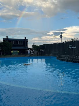 わんダフルネイチャーヴィレッジに投稿された画像（2023/9/9）