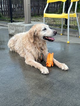 わんダフルネイチャーヴィレッジに投稿された画像（2023/9/9）