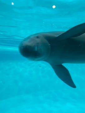 マリンワールド海の中道に投稿された画像（2023/9/9）