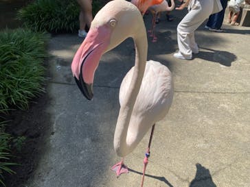 長崎バイオパークに投稿された画像（2023/9/9）