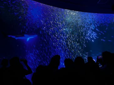 名古屋港水族館に投稿された画像（2023/9/9）
