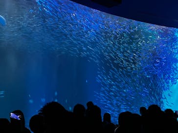 名古屋港水族館に投稿された画像（2023/9/9）