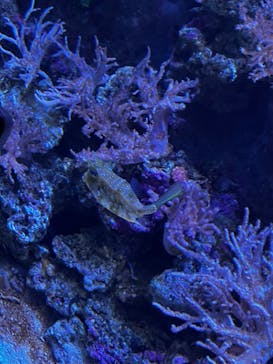 名古屋港水族館に投稿された画像（2023/9/9）