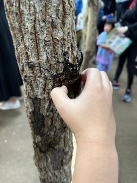 JOYPOLIS 特別イベントスペースに投稿された画像（2023/9/9）