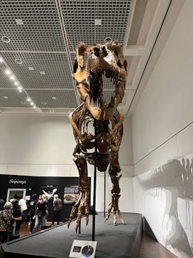 大阪市立自然史博物館に投稿された画像（2023/9/9）