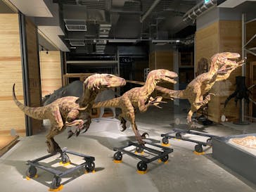 福井県立恐竜博物館に投稿された画像（2023/9/9）