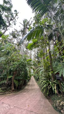 美らヤシパークオキナワ・東南植物楽園に投稿された画像（2023/9/9）