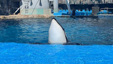 名古屋港水族館に投稿された画像（2023/9/9）