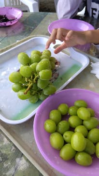 グレープガーデン　安全農園に投稿された画像（2023/9/9）