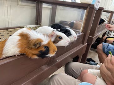 成田ゆめ牧場に投稿された画像（2023/9/9）