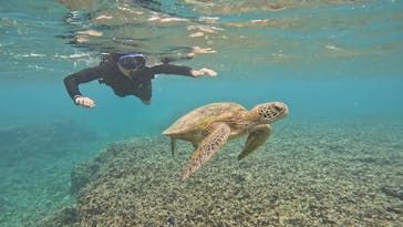 オースリーシュノーケル宮古島に投稿された画像（2023/9/9）