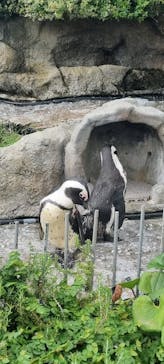 サンシャイン水族館に投稿された画像（2023/9/9）