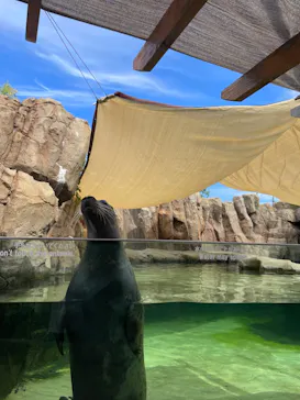 神戸どうぶつ王国に投稿された画像（2023/9/9）