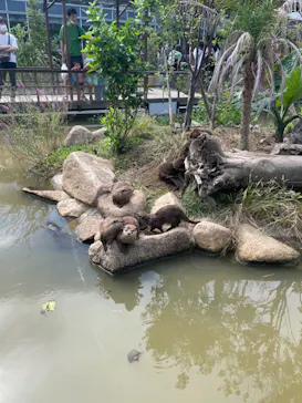 神戸どうぶつ王国に投稿された画像（2023/9/9）