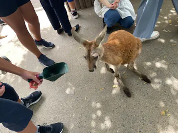 神戸どうぶつ王国に投稿された画像（2023/9/9）