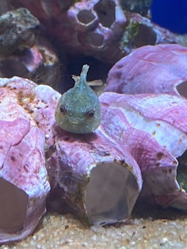 サンシャイン水族館に投稿された画像（2023/9/9）