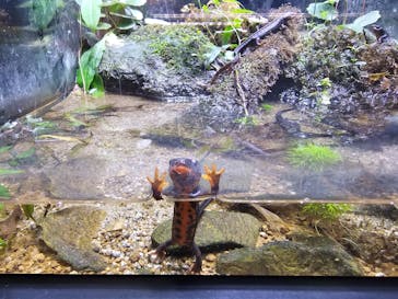 マリンワールド海の中道に投稿された画像（2023/9/9）