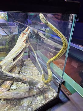 マリンワールド海の中道に投稿された画像（2023/9/9）