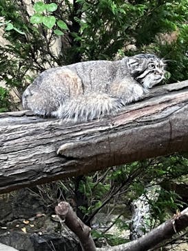 那須どうぶつ王国に投稿された画像（2023/9/9）
