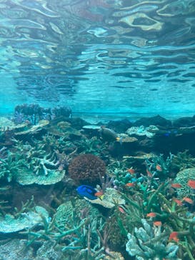 名古屋港水族館に投稿された画像（2023/9/9）